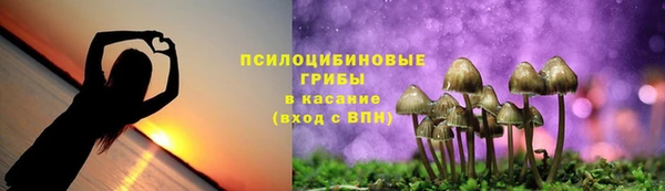 PSILOCYBIN Богородск