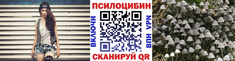 Псилоцибиновые грибы Cubensis  Купить закладки  Мышкин 